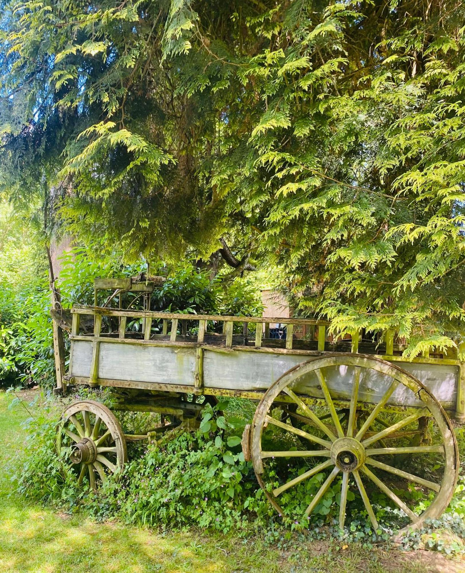 Moulin Du Fontcourt Bed and Breakfast Chasseneuil-sur-Bonnieure Eksteriør billede